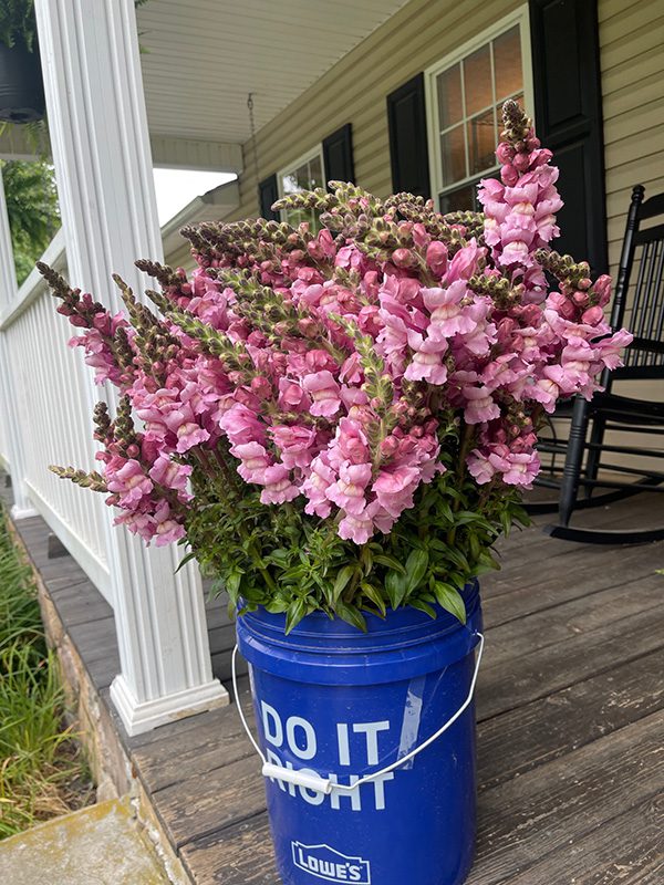 Floral Ridge Farm Seasonal and Bridal Buckets