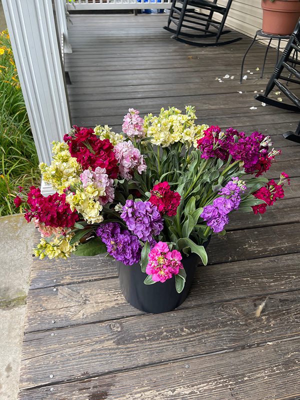Floral Ridge Farm Seasonal and Bridal Buckets