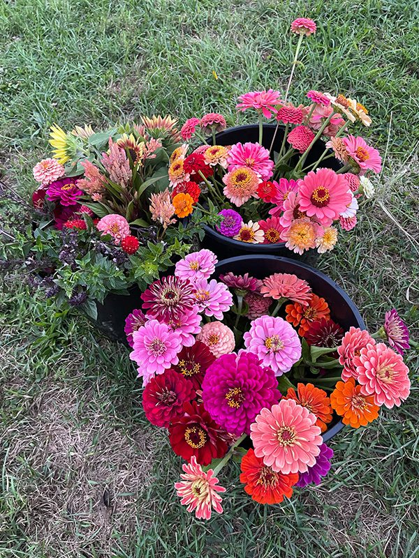 Floral Ridge Farm Seasonal and Bridal Buckets