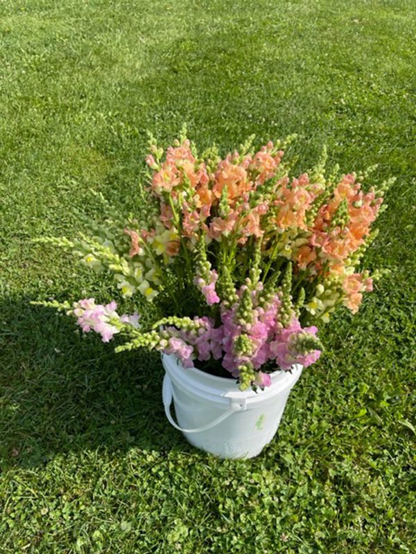 Floral Ridge Farm Seasonal and Bridal Buckets