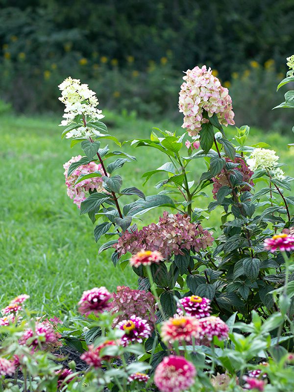 Floral Ridge Farm Visit Our Farmstead