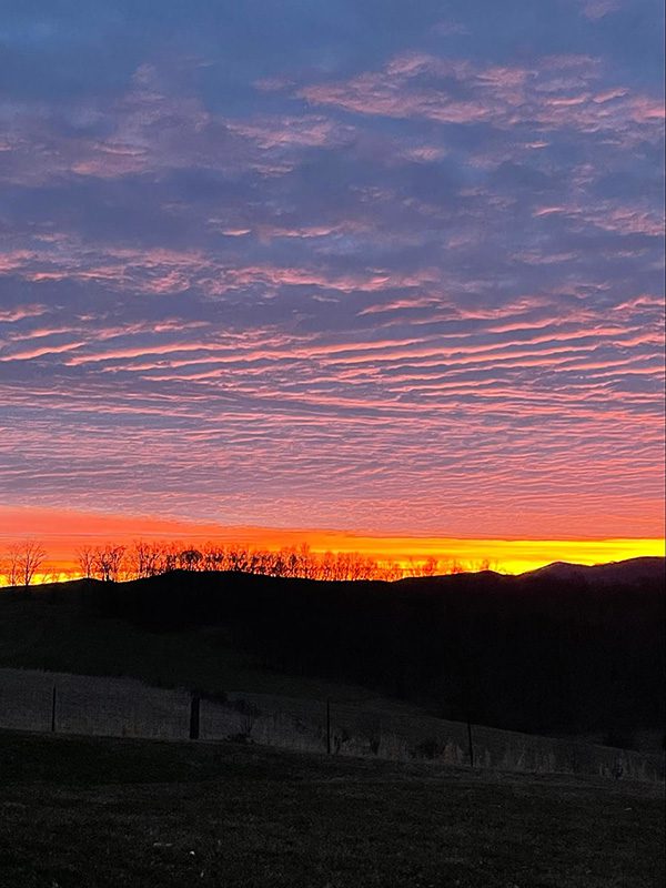Floral Ridge Farm Visit Our Farmstead