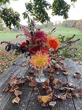 Flower Subscription Shares